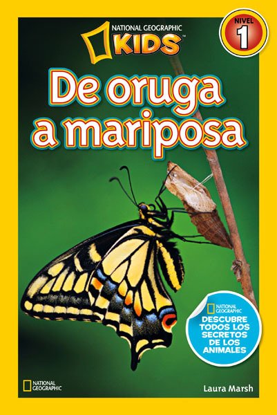 Portada de DE ORUGA A MARIPOSA