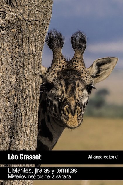 Portada de ELEFANTES, JIRAFAS Y TERMITAS