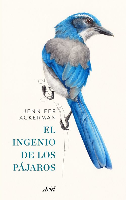 Portada de EL INGENIO DE LOS PÁJAROS