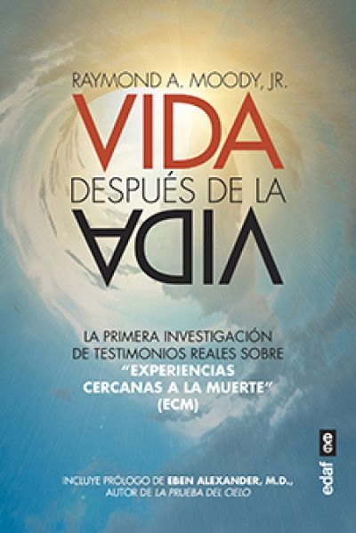 VIDA DESPUÉS DE LA VIDA