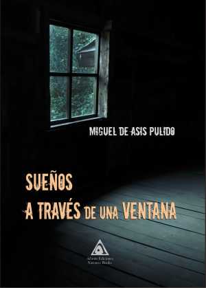 Portada de SUEÑOS A TRAVÉS DE UNA VENTANA