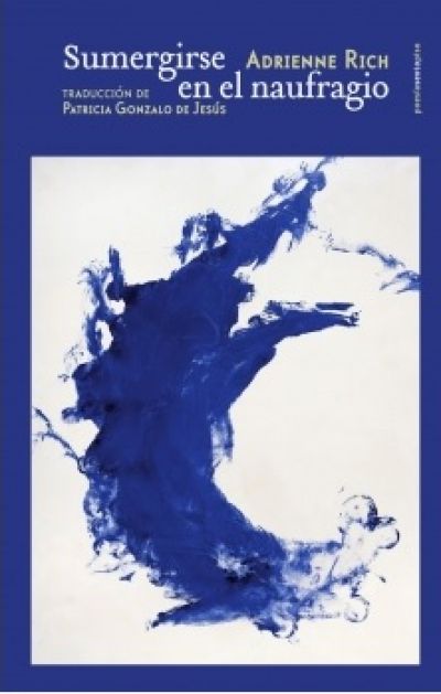 Portada de SUMERGIRSE EN EL NAUFRAGIO