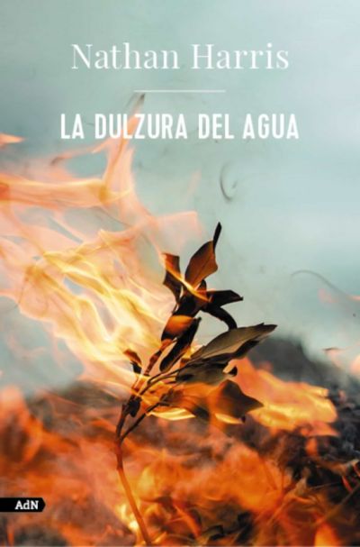 Portada de LA DULZURA DEL AGUA
