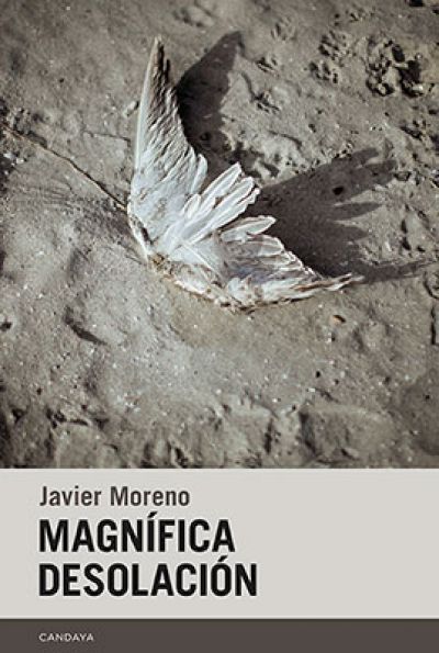 Portada de MAGNÍFICA DESOLACIÓN