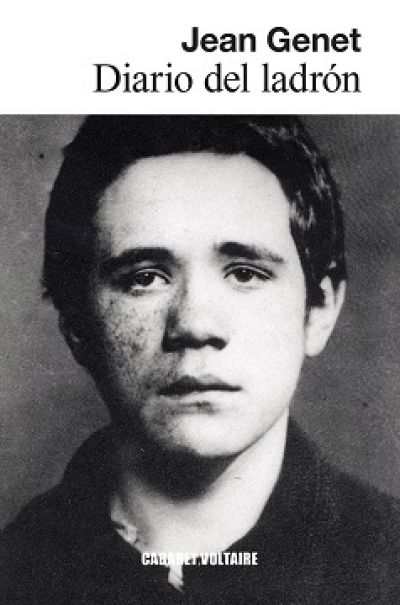 Portada de DIARIO DEL LADRÓN