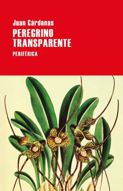 Portada de PEREGRINO TRANSPARENTE