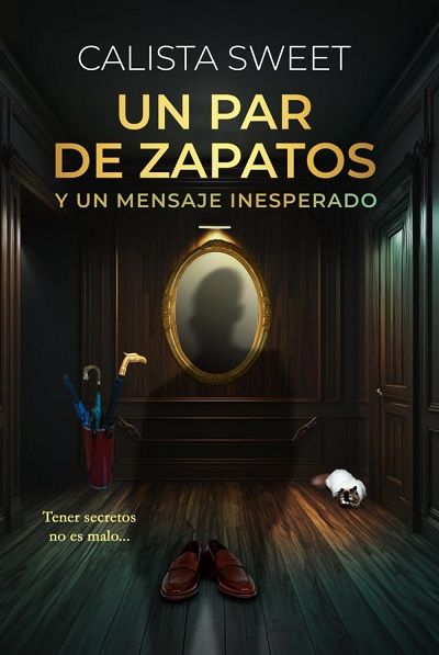 Portada de UN PAR DE ZAPATOS Y UN MENSAJE INESPERADO