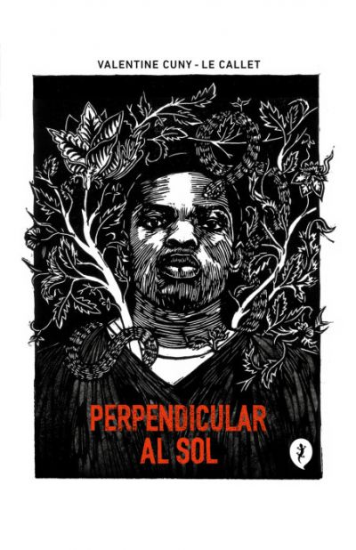 Portada de PERPENDICULAR AL SOL