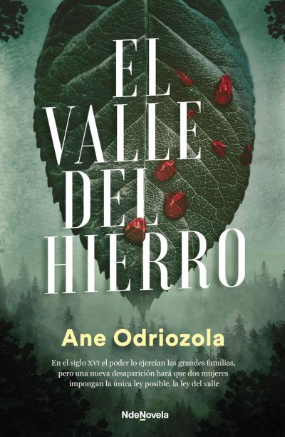 Portada de EL VALLE DEL HIERRO