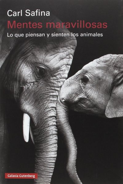 Portada de MENTES MARAVILLOSAS. Lo que piensan y sienten los animales