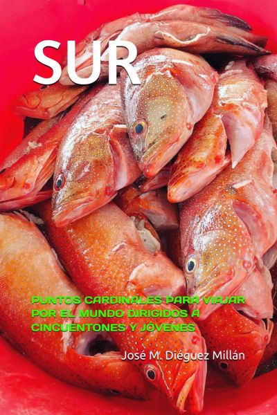 SUR. Puntos cardinales para viajar por el mundo dirigidos a cincuentones y jóvenes