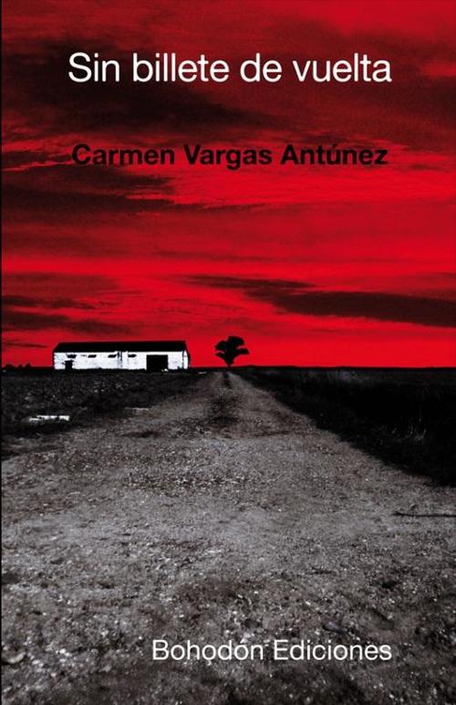 Portada de SIN BILLETE DE VUELTA