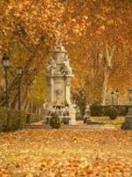 LAS RATAS DE LA MOVIDA